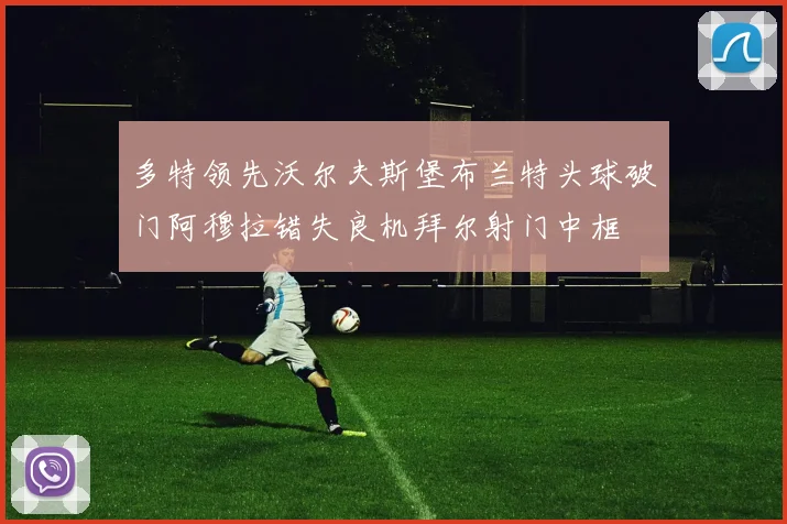 多特领先沃尔夫斯堡布兰特头球破门阿穆拉错失良机拜尔射门中框