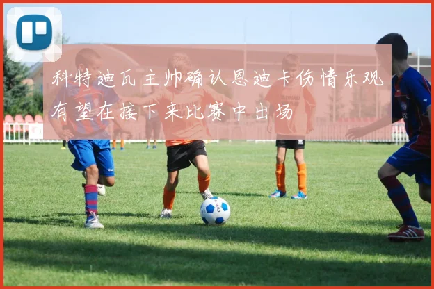 科特迪瓦主帅确认恩迪卡伤情乐观有望在接下来比赛中出场